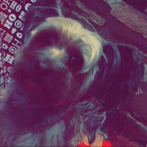 Meet your Posher, Emma